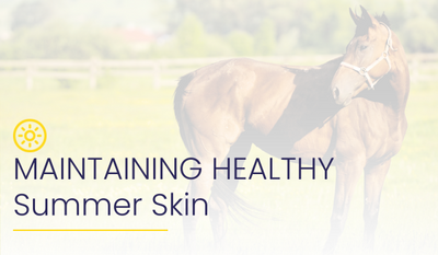 Top Tips for Maintaining Healthy Summer Skin