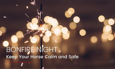 Preparing for Fireworks Night