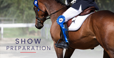 Preparing for Show Season: Grooming Tips from the Equine America Team