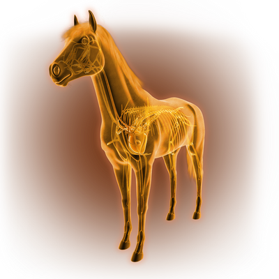 Biosecurity