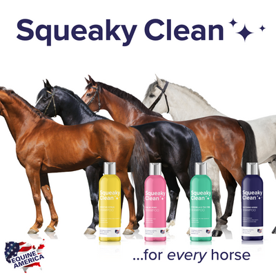 Which Shampoo Is Best For Your Horse?