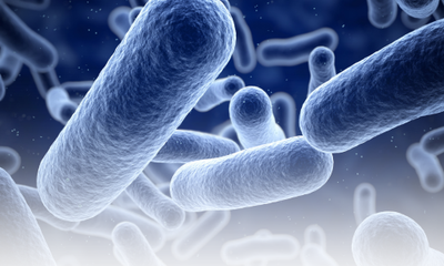 Zombie Biotics, also known as Ghost Biotics or Postbiotics!