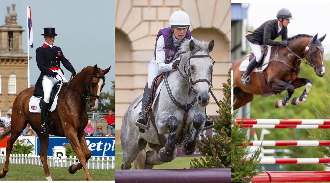 Electrolytes all you need to know! Equine America