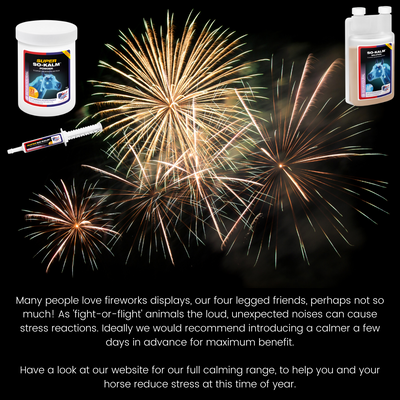 Bonfire Night and Fireworks