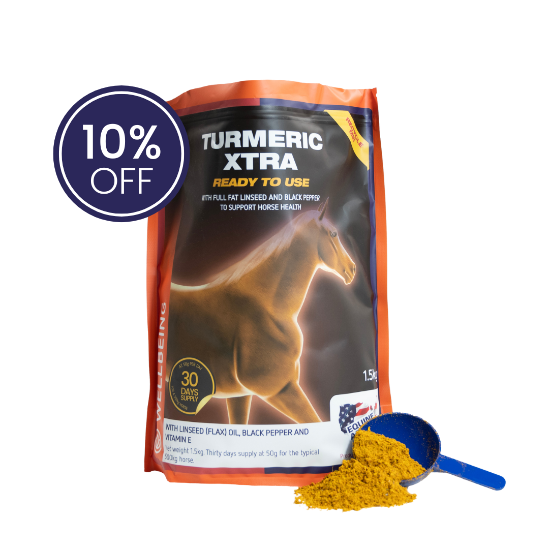 🎁 Turmeric Xtra (100% off)