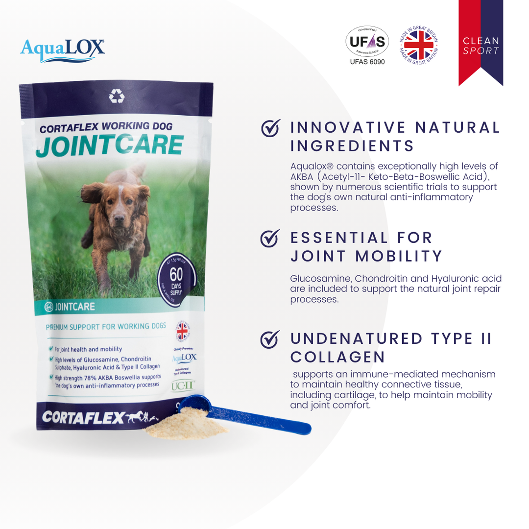 Canine Cortaflex® Powder Dog Supplement – Equine America