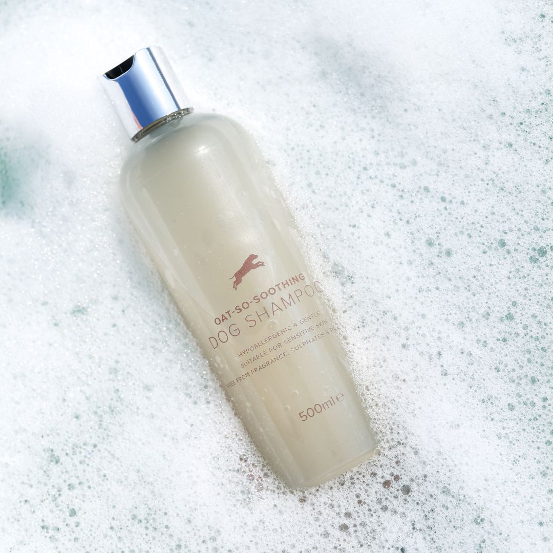 🎁 Oat-So-Soothing Shampoo (100% off)