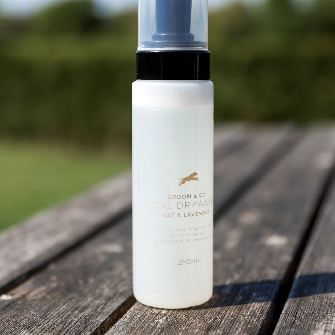 🎁 Groom & Go Dry Shampoo (100% off)