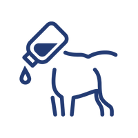 Step 2 icon