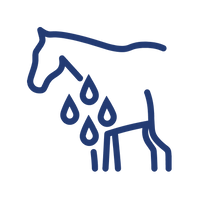 Step 4 icon