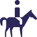 Suitable for horses in regular work and competition.