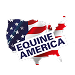 Part of the Equine America calming range.