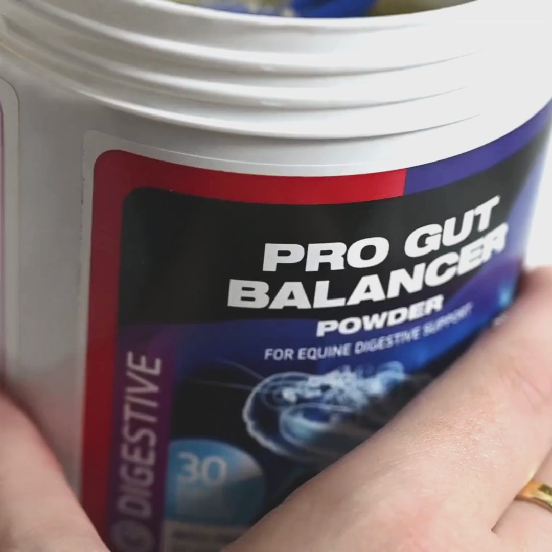 Pro Gut Balancer – Equine America