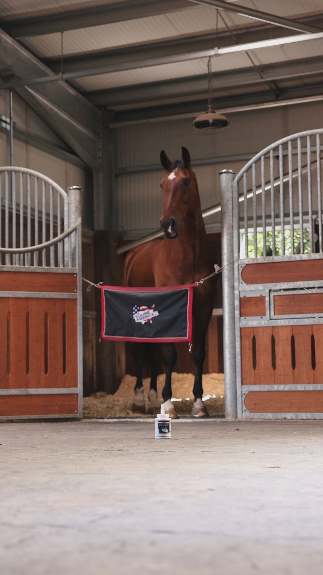 Fungatrol Hoof Dressing – Equine America - View #5