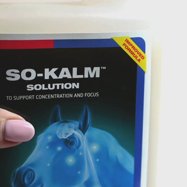 Horse Health B-Kalm Paste | Big Dee's